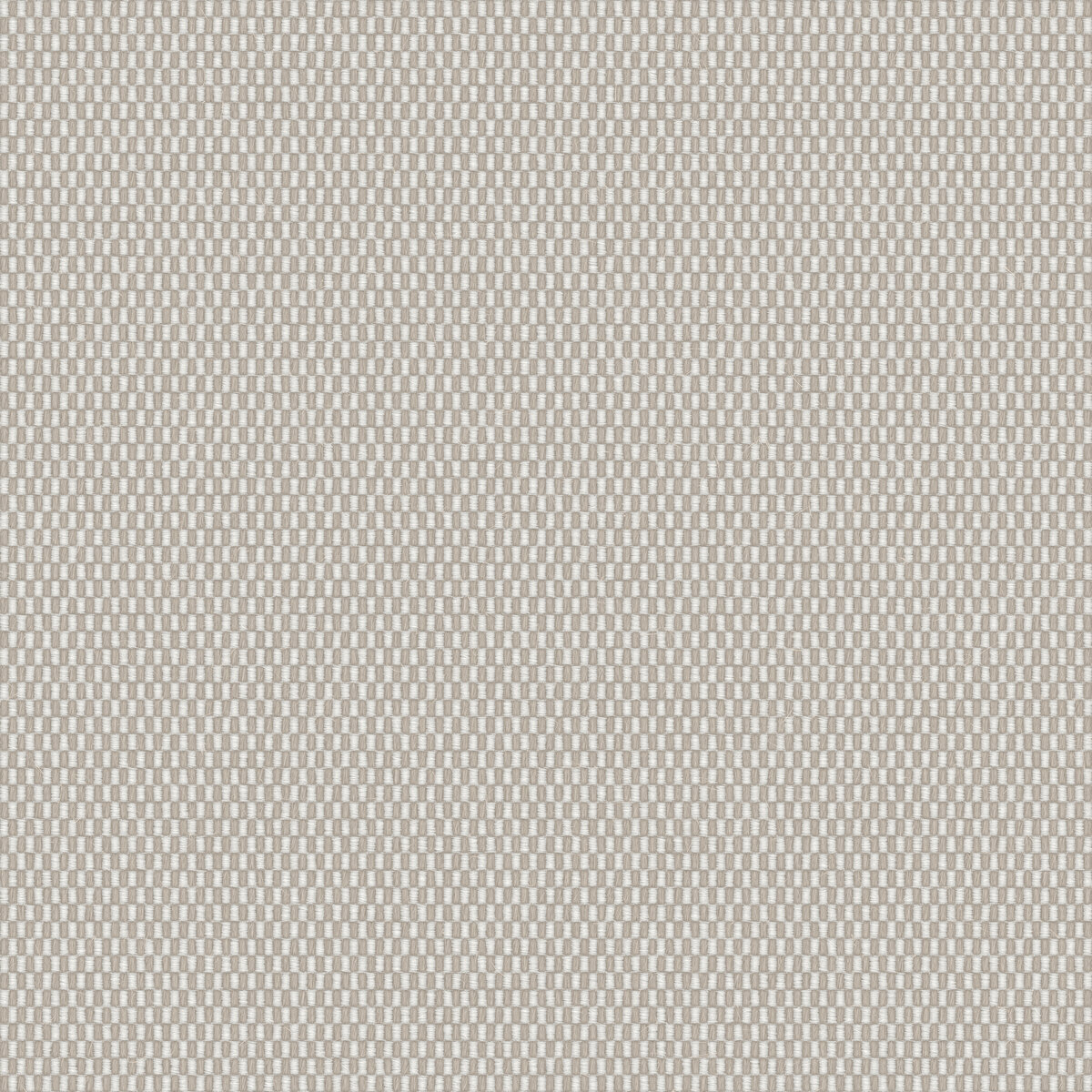 Fabric 062 Texture