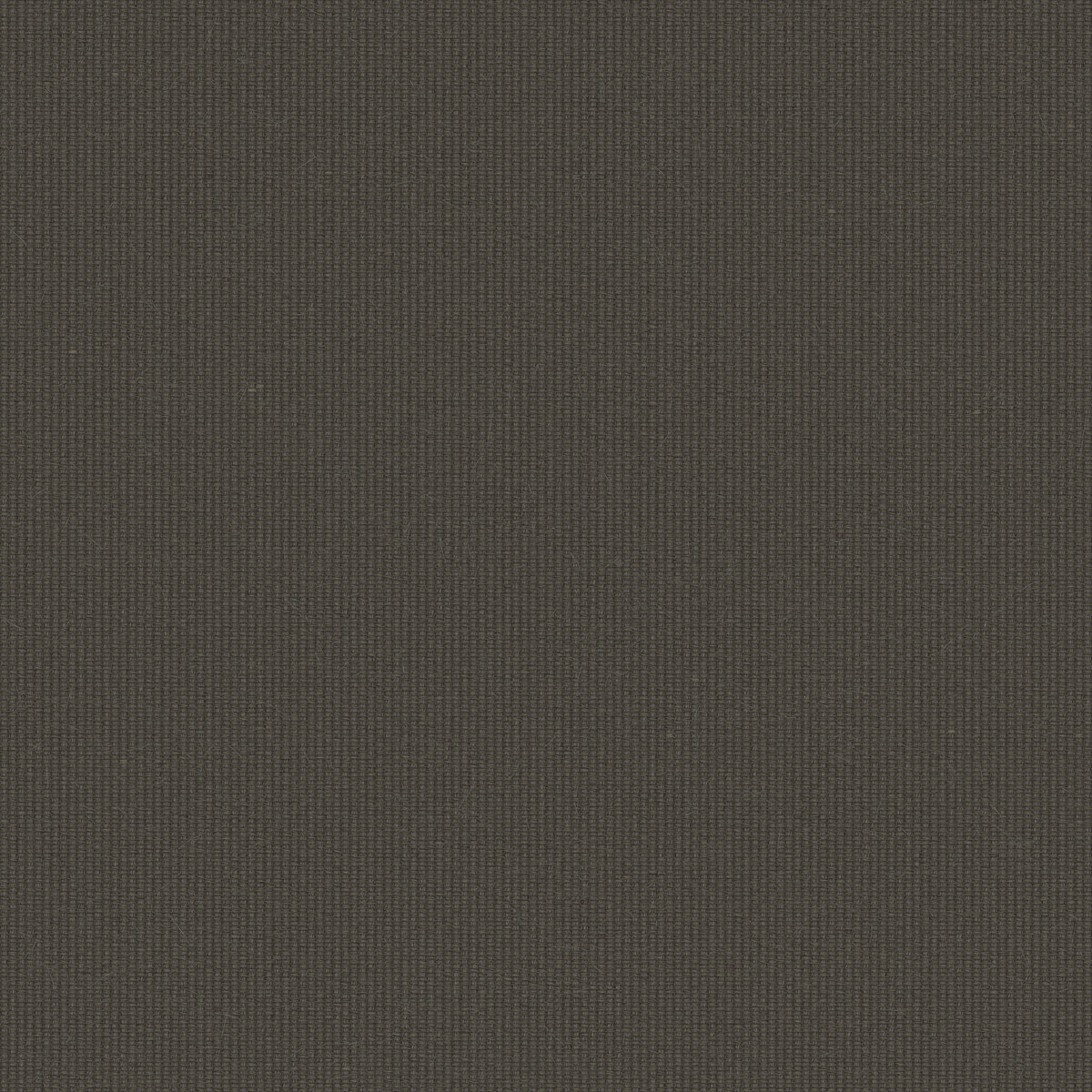 Fabric 063 Texture