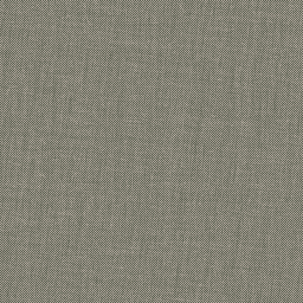 Fabric 066 Texture