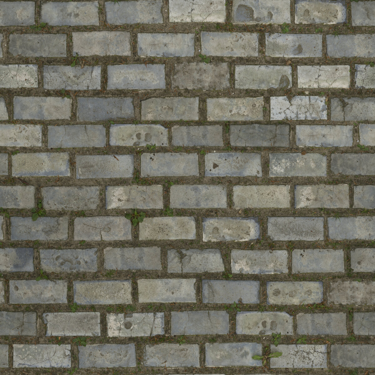 Floor Bricks 02 Texture