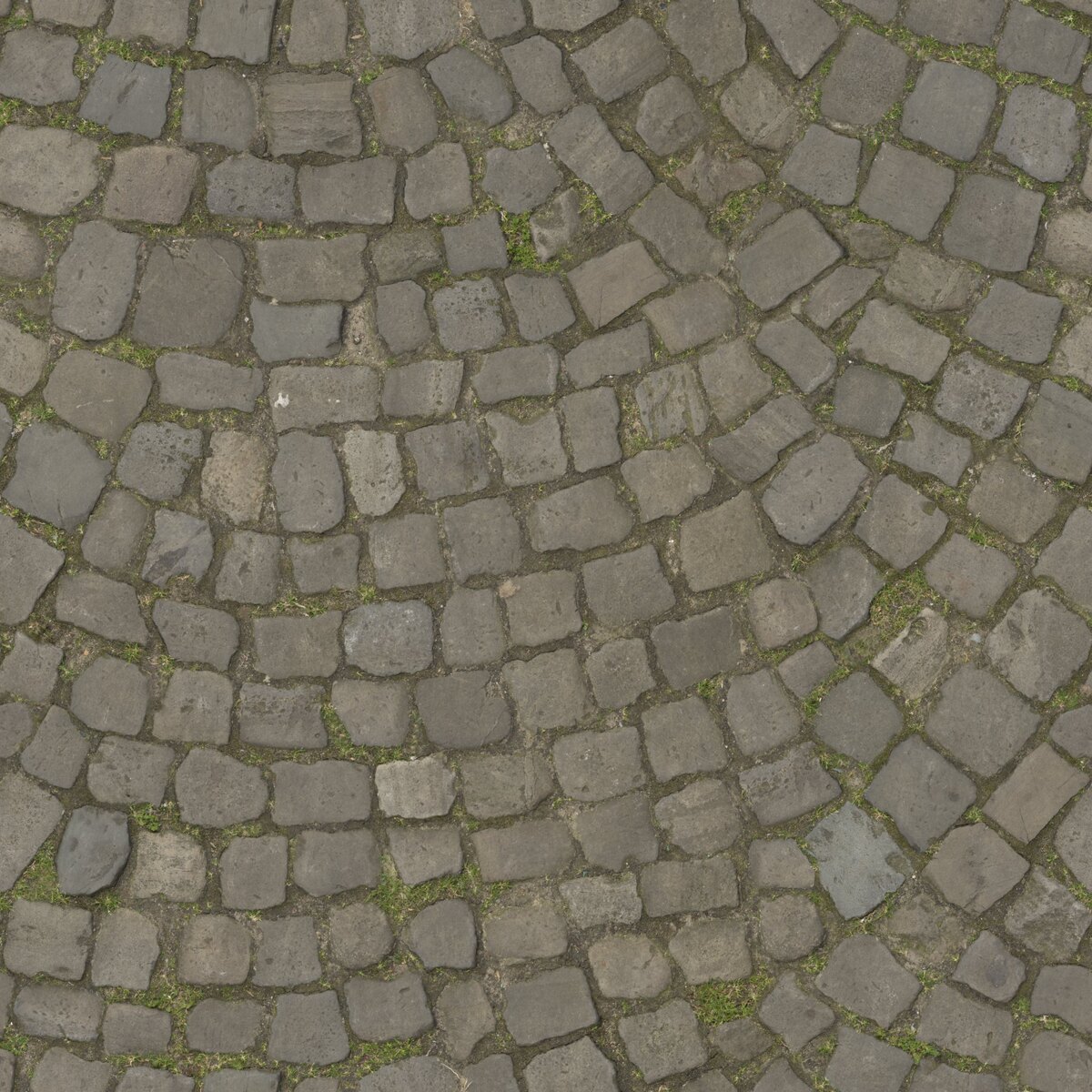 Floor Pattern 01 Texture