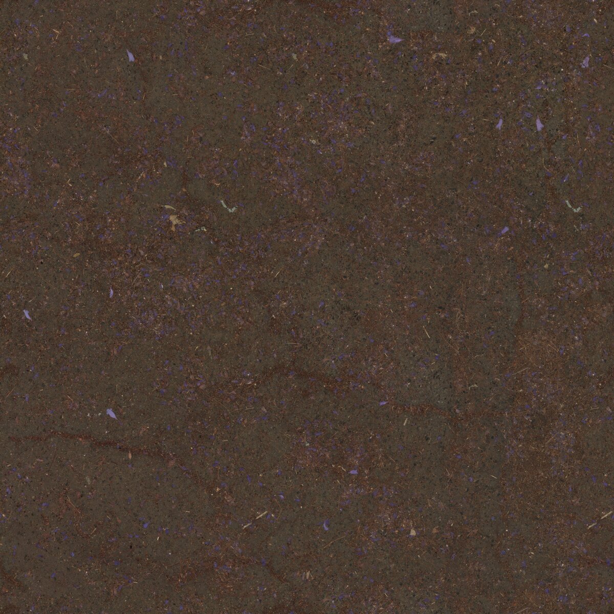 Flower Scattered Asphalt Texture