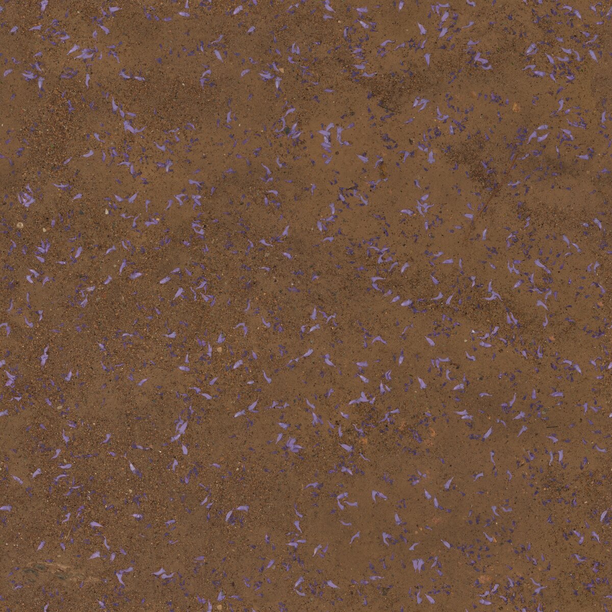 Flower Scattered Dirt Texture