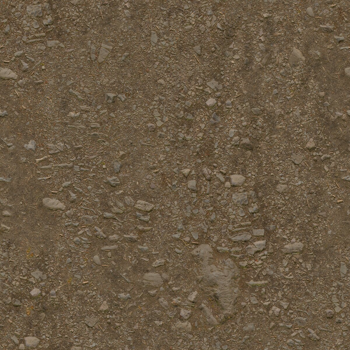 Forest Ground 04 Texture