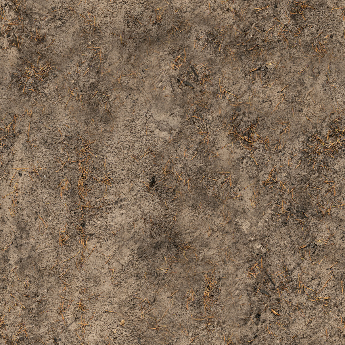 Forest Sand 01 Texture