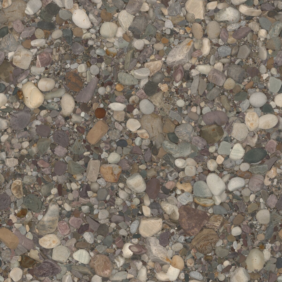 Ganges River Pebbles Texture