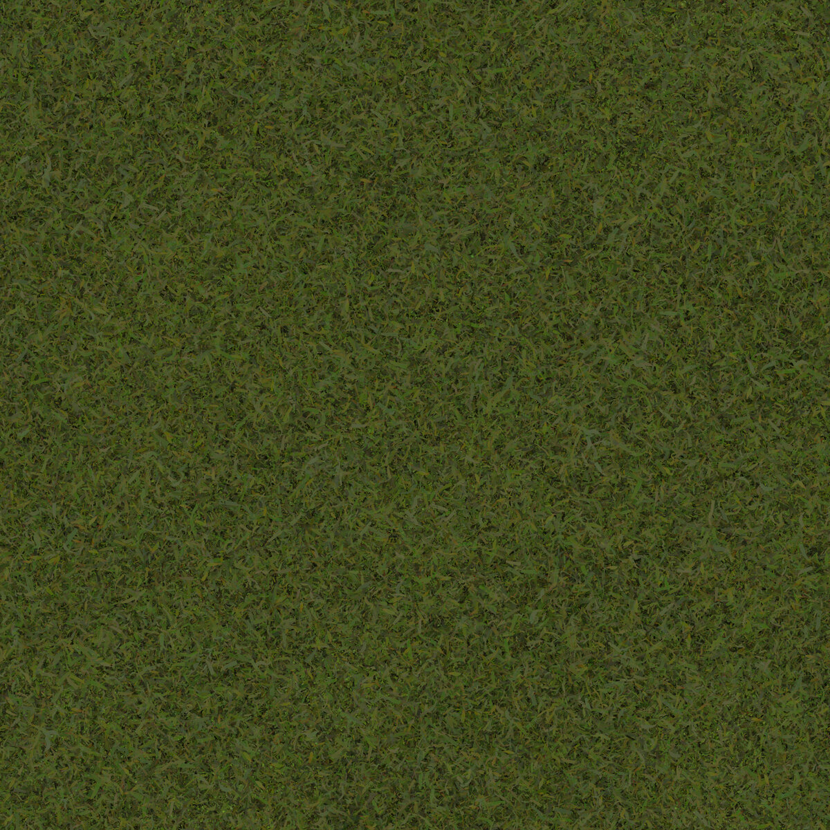 Grass 003 Texture