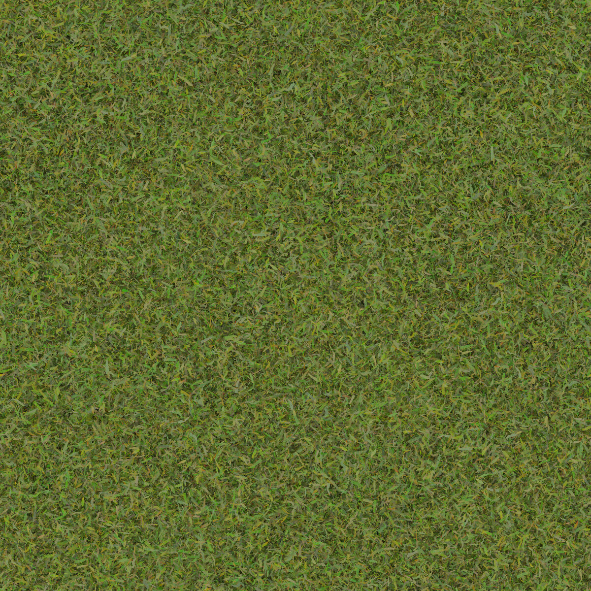 Grass 004 Texture