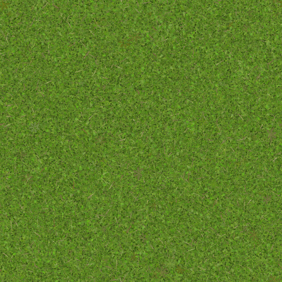 Grass 006 Texture