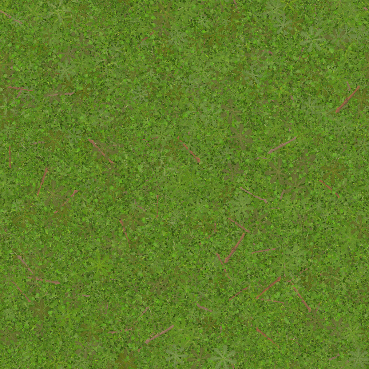 Grass 007 Texture