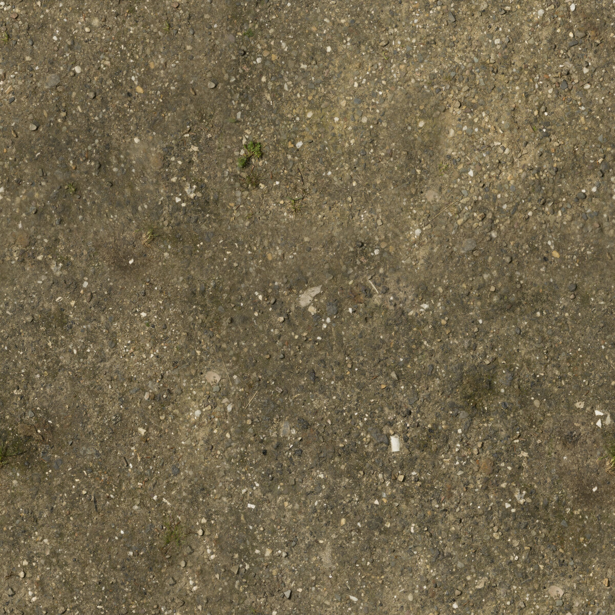 Grass Path 3 Texture
