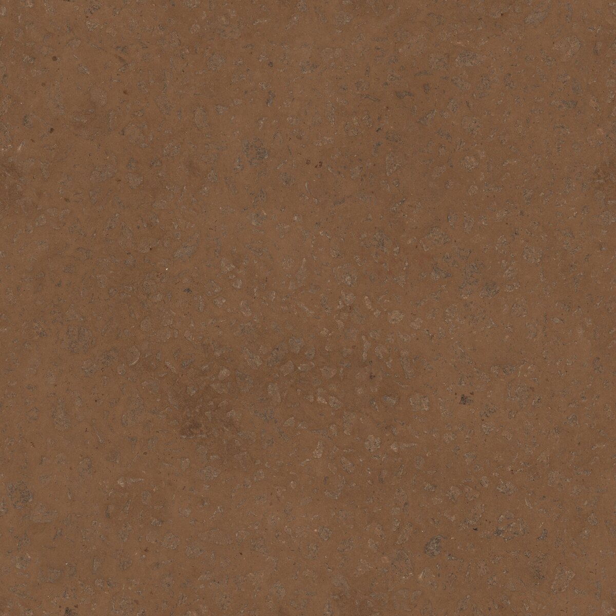 Gravel Road Texture