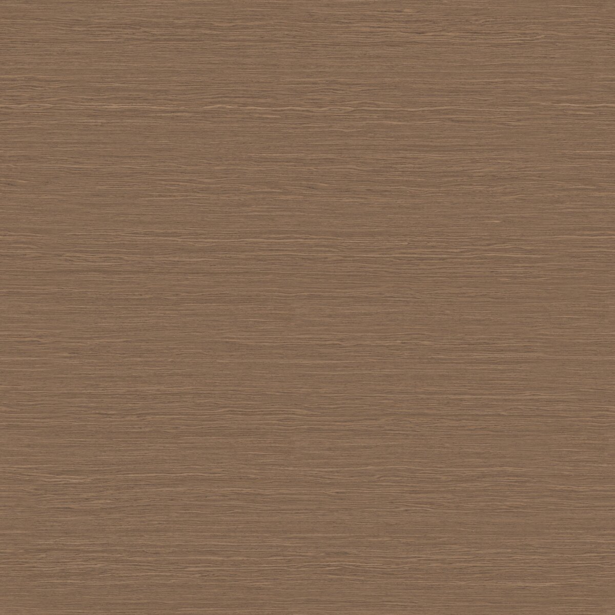 Grey Lati Veneer Texture