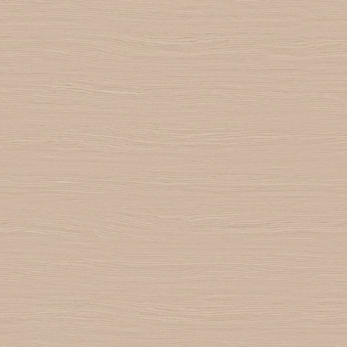 Grey Oak Veneer 01 Texture