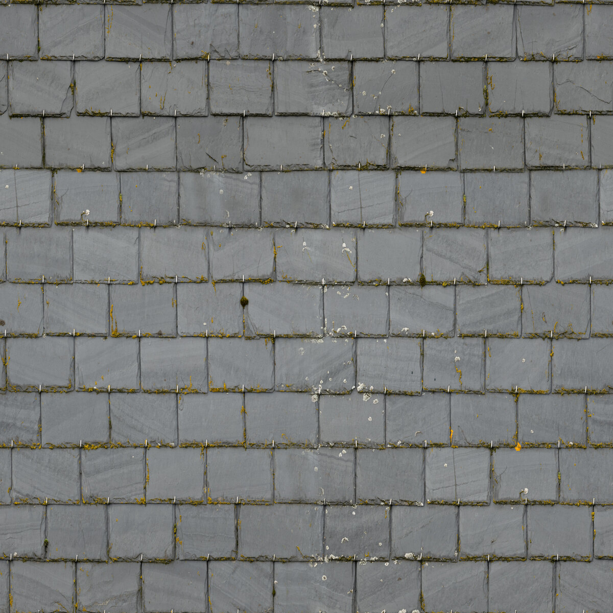 Grey Roof Tiles 02 Texture