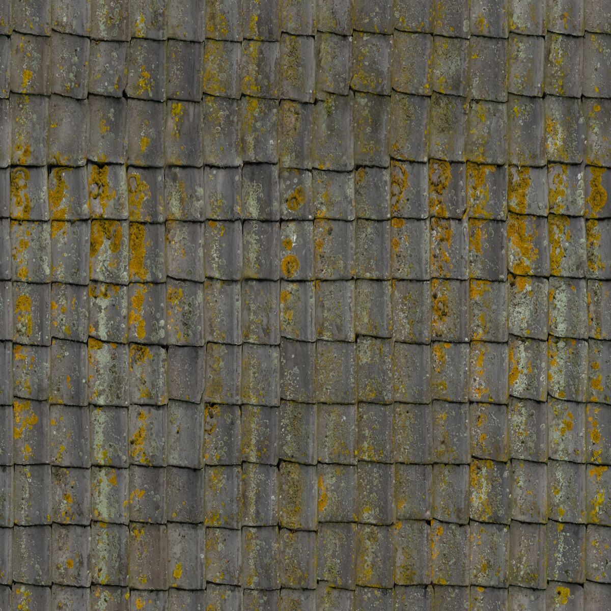 Grey Roof Tiles Texture