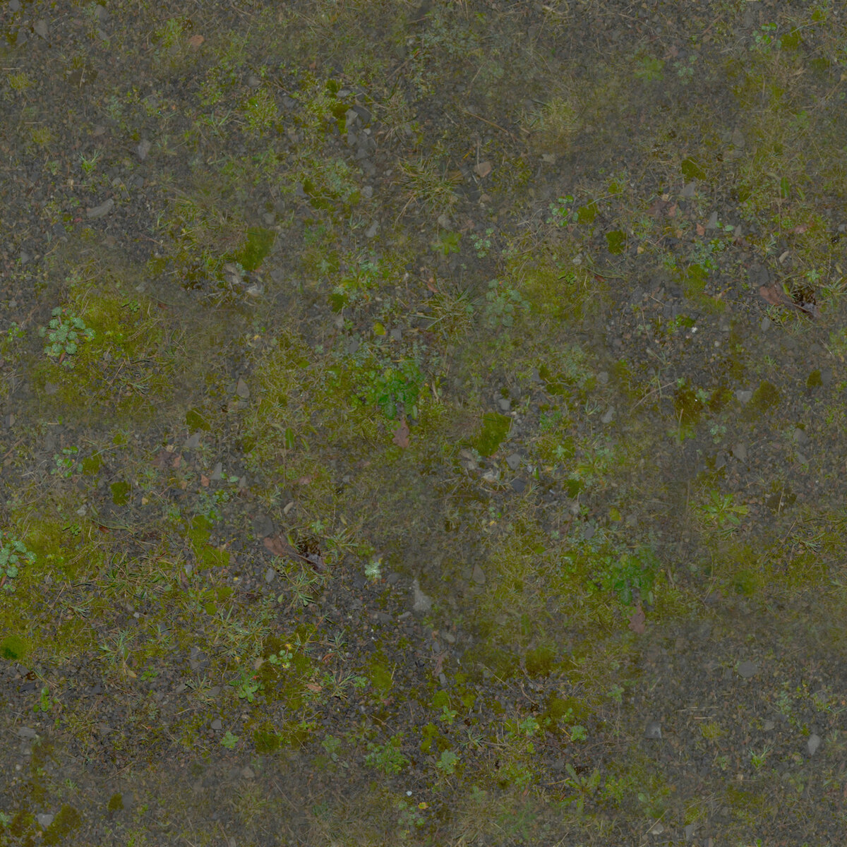 Ground 001 Texture