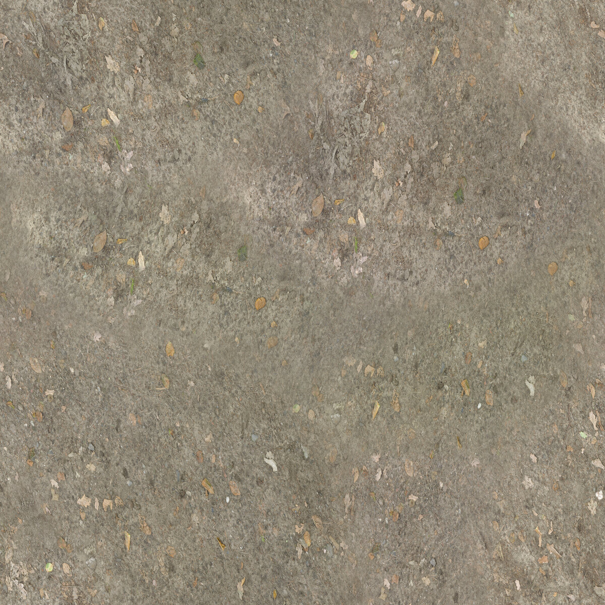 Ground 004 Texture