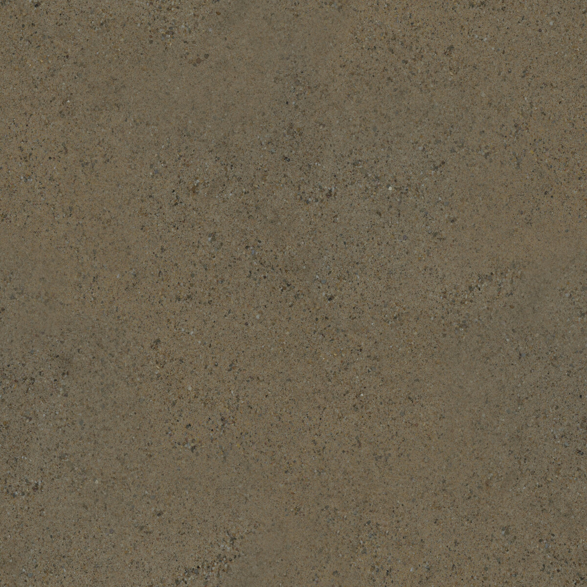 Ground 006 Texture