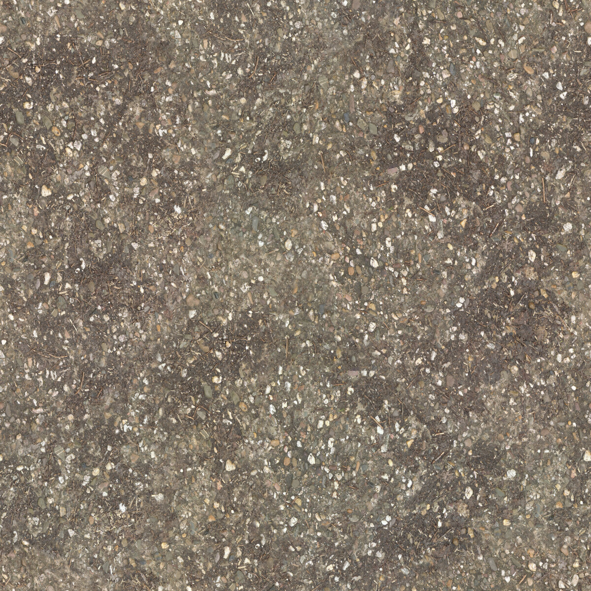 Ground 007 Texture