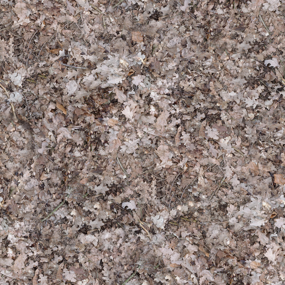 Ground 011 Texture