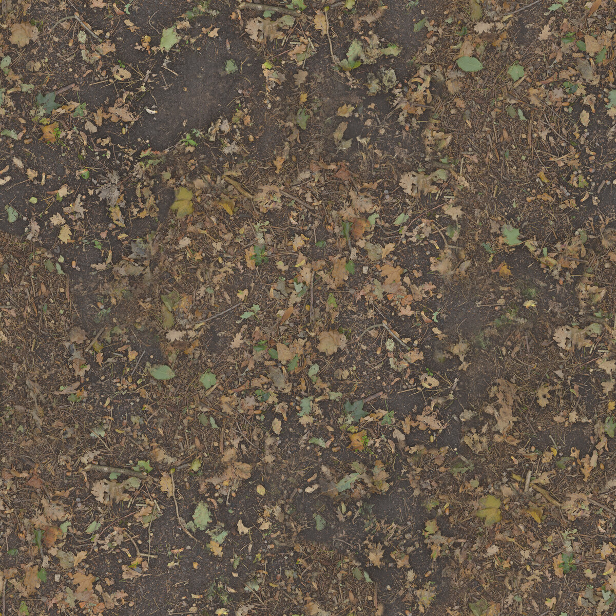 Ground 023 Texture