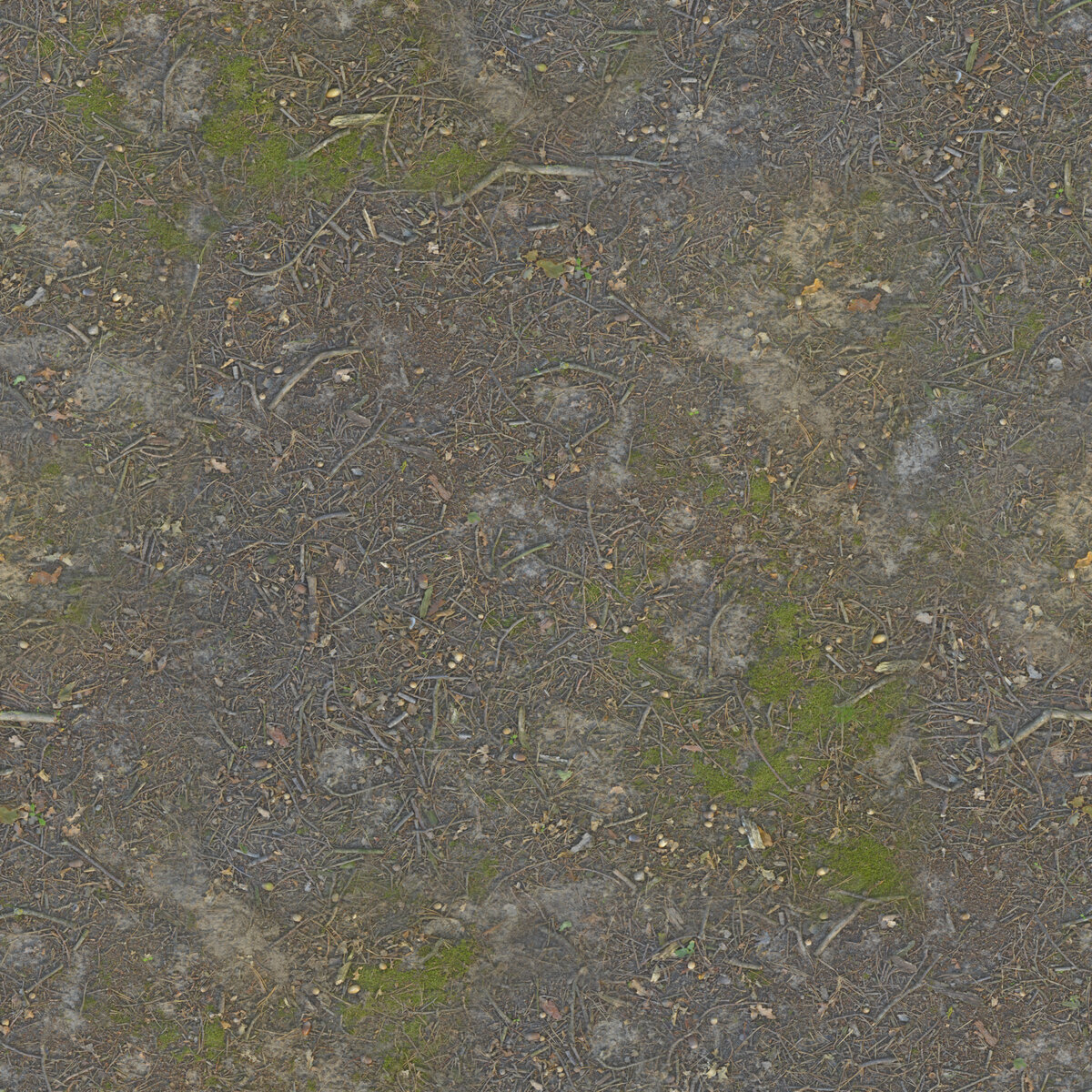 Ground 024 Texture