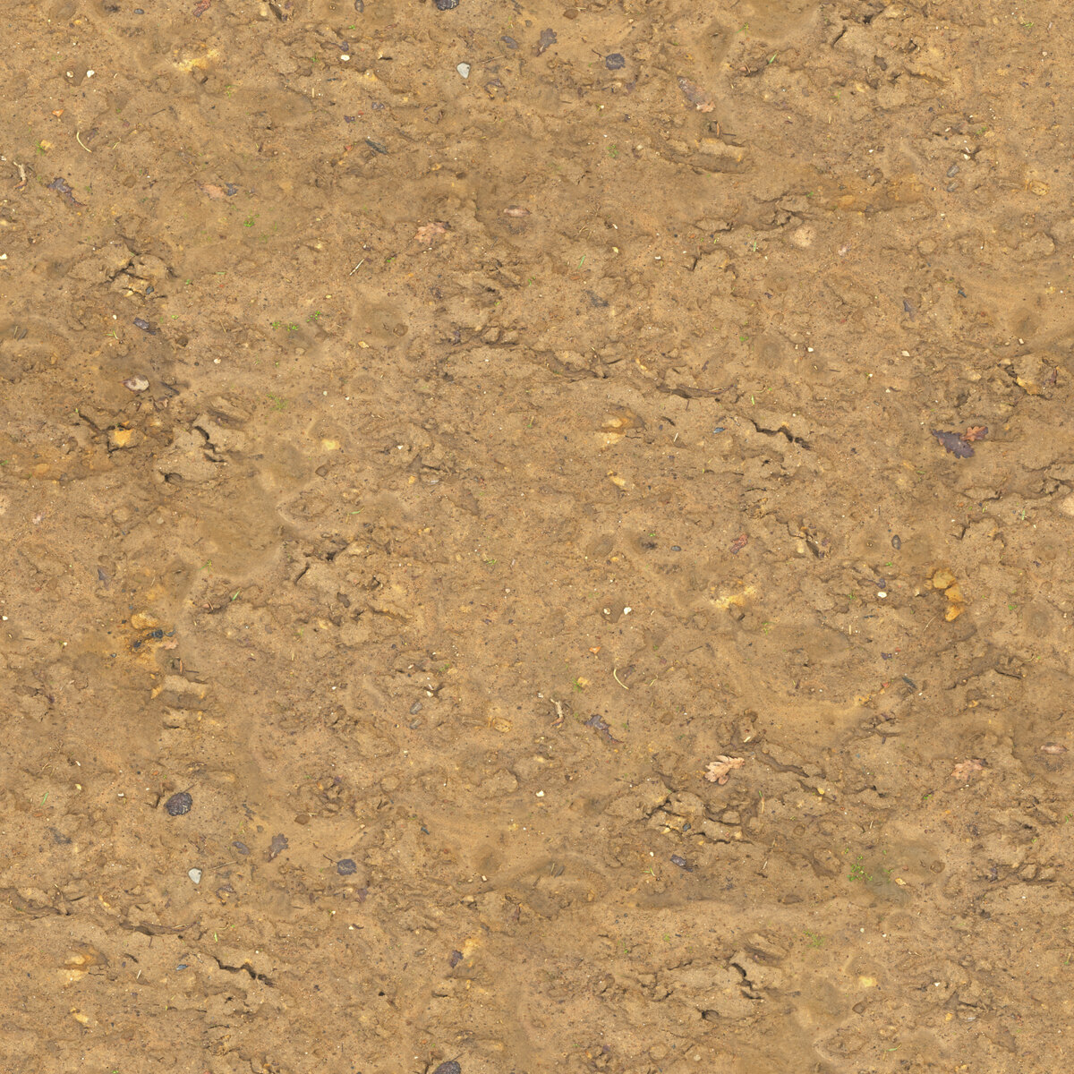 Ground 025 Texture
