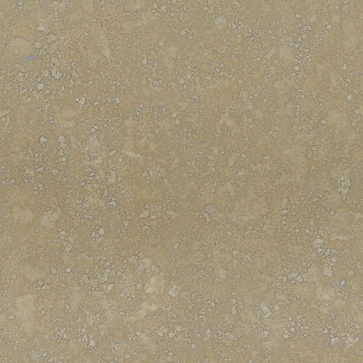 Ground 029 Texture