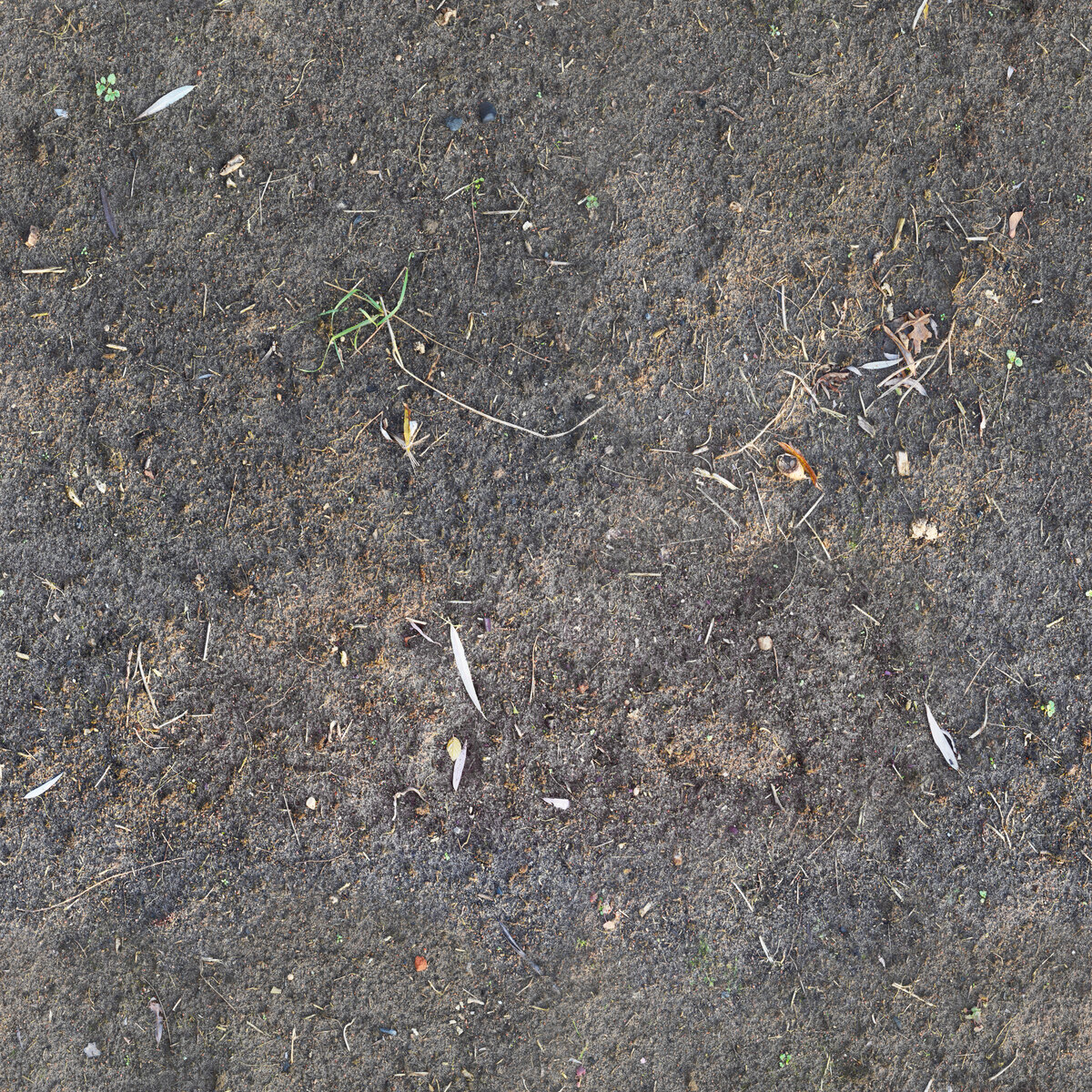 Ground 036 Texture