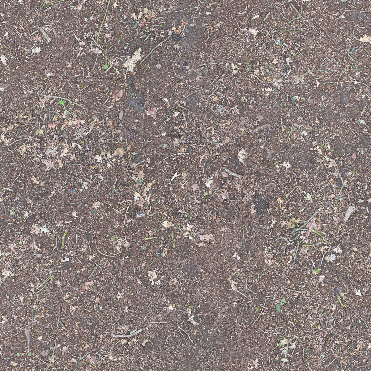 Ground 038 Texture