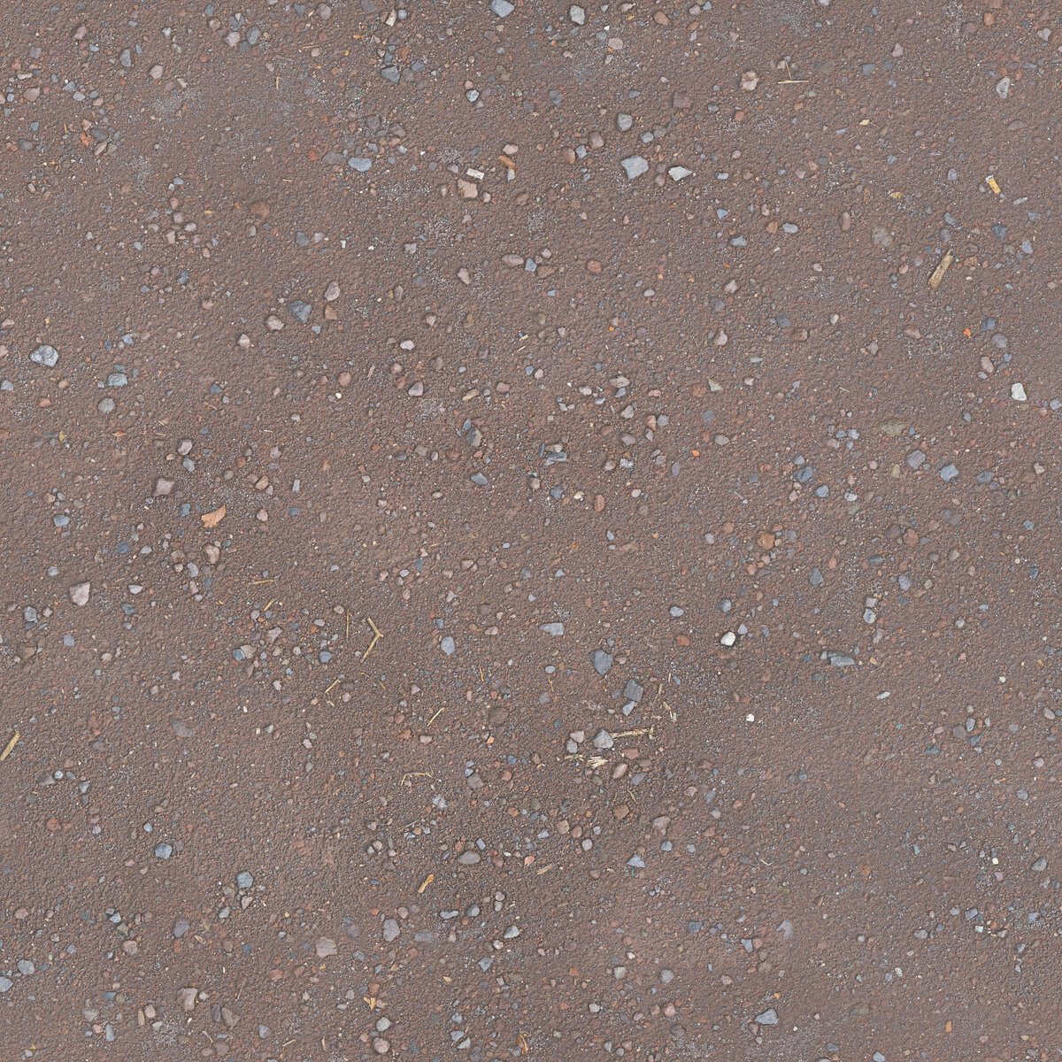 Ground 039 Texture