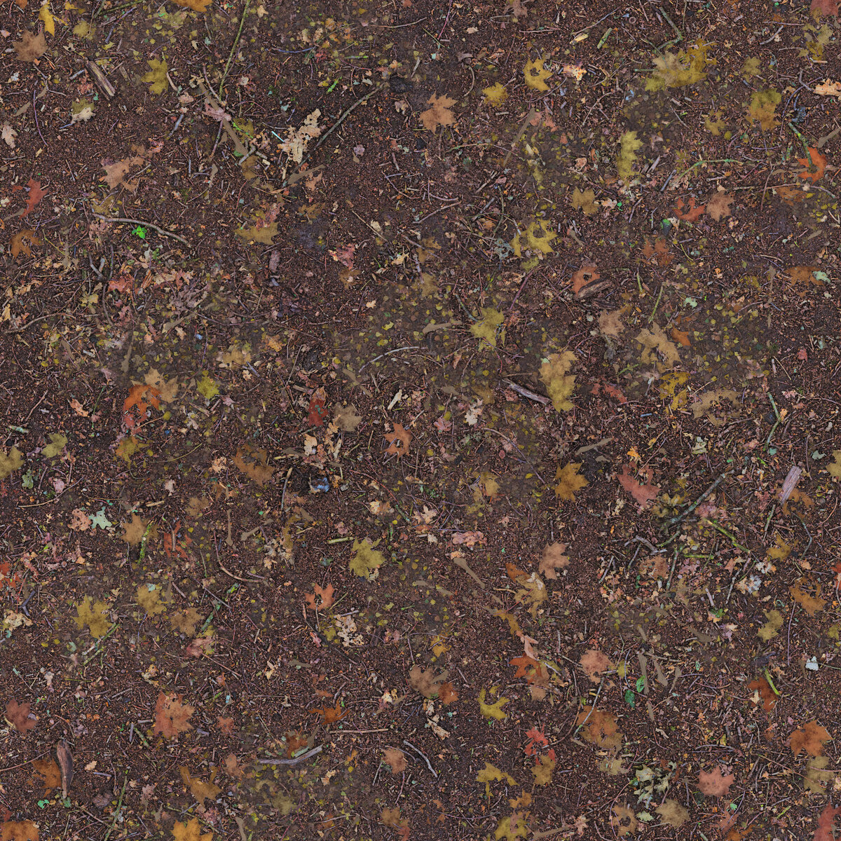 Ground 042 Texture