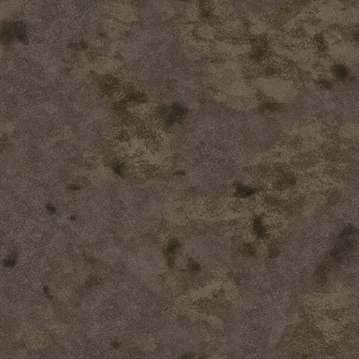 Ground 043 Texture
