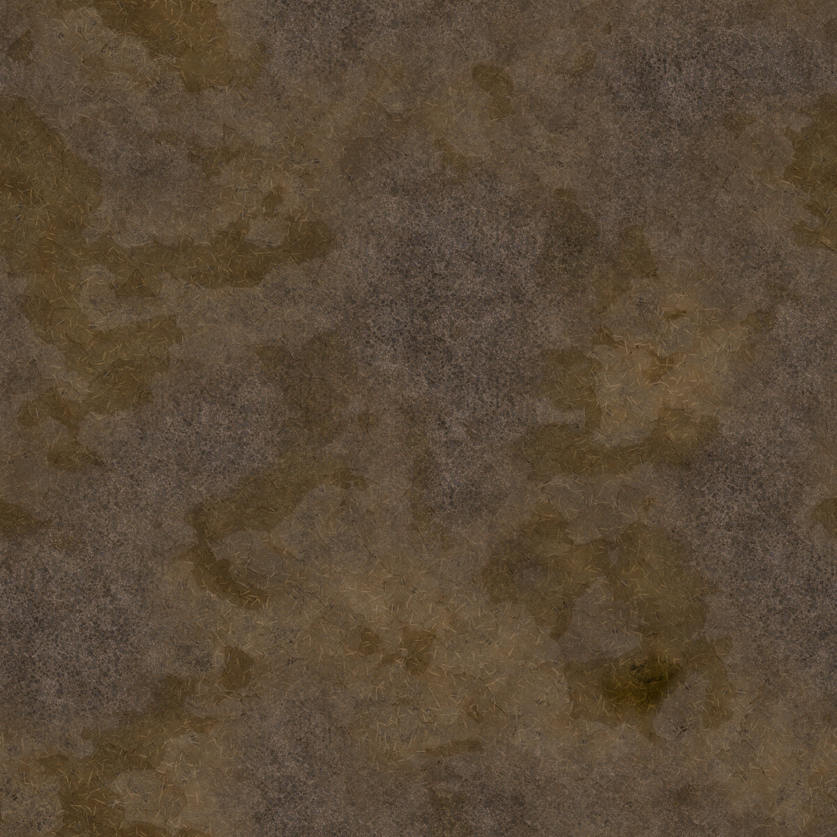 Ground 046 Texture