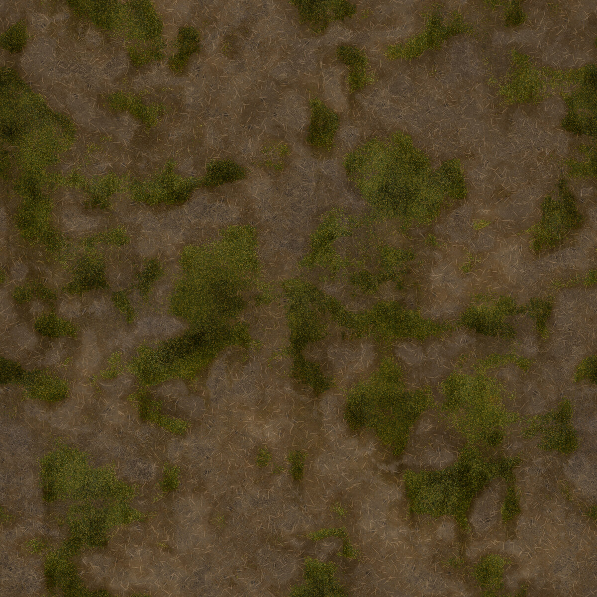 Ground 047 Texture