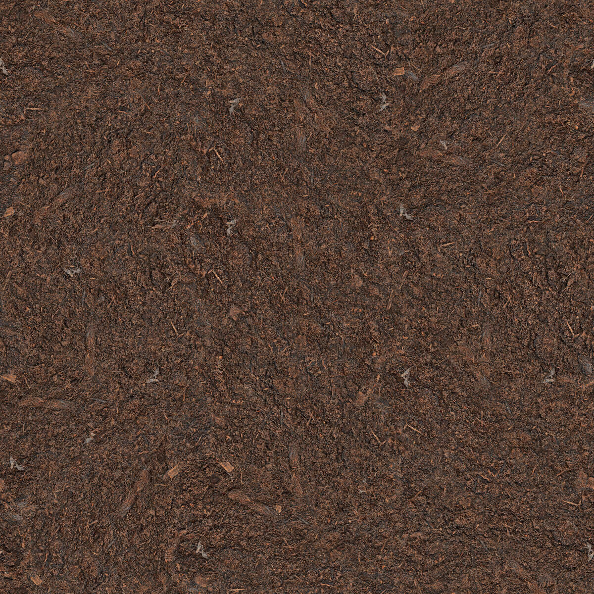 Ground 048 Texture