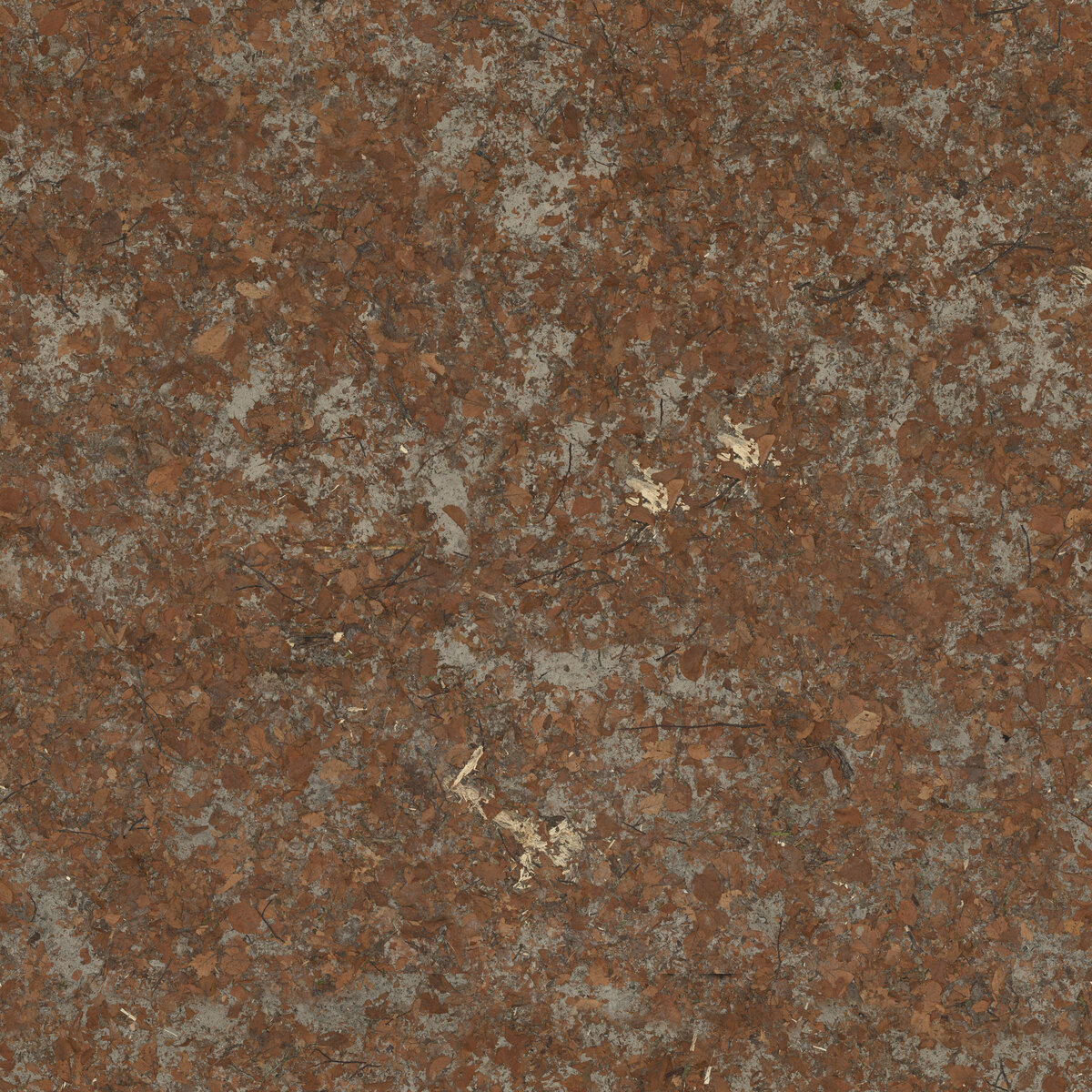 Ground 053 Texture