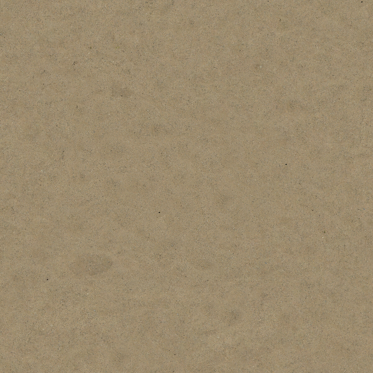 Ground 054 Texture