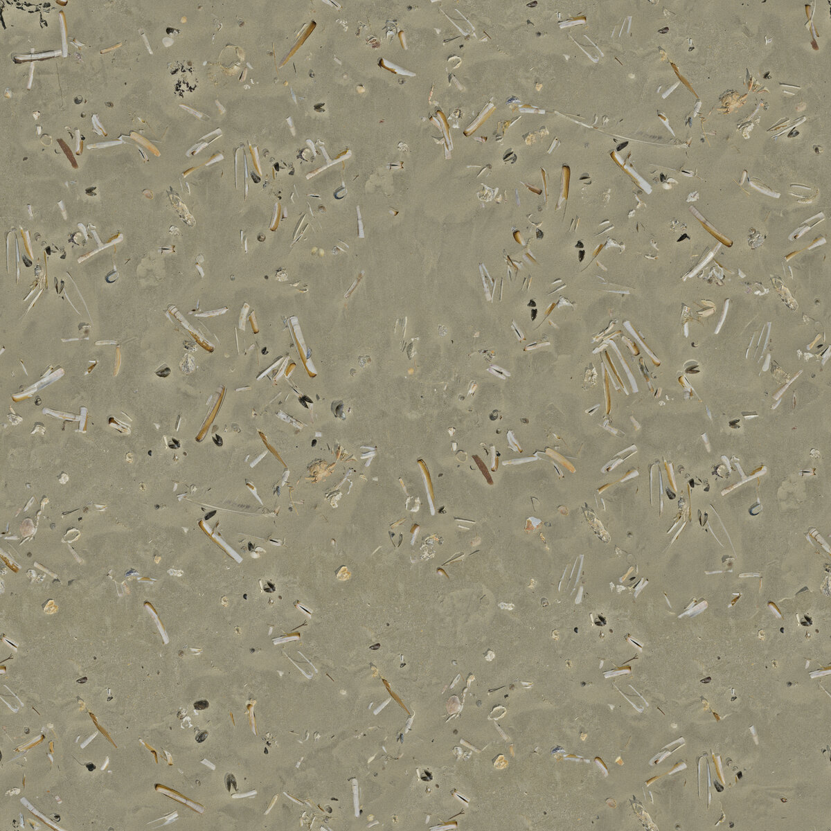 Ground 056 Texture