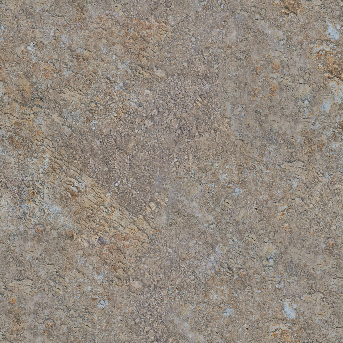 Ground 058 Texture