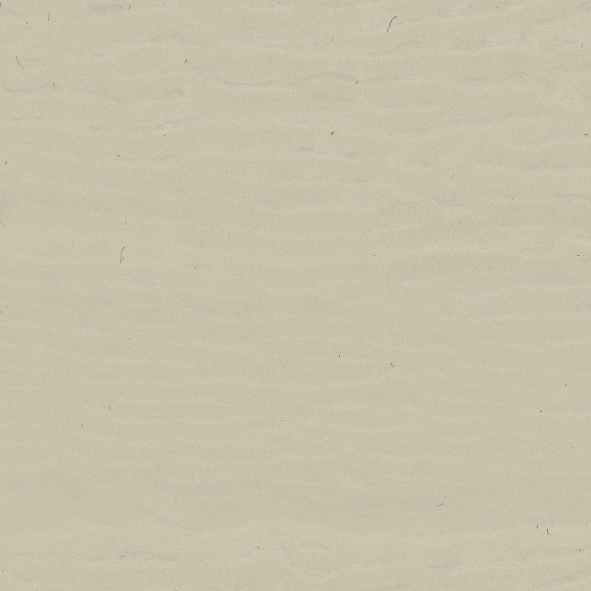 Ground 061 Texture