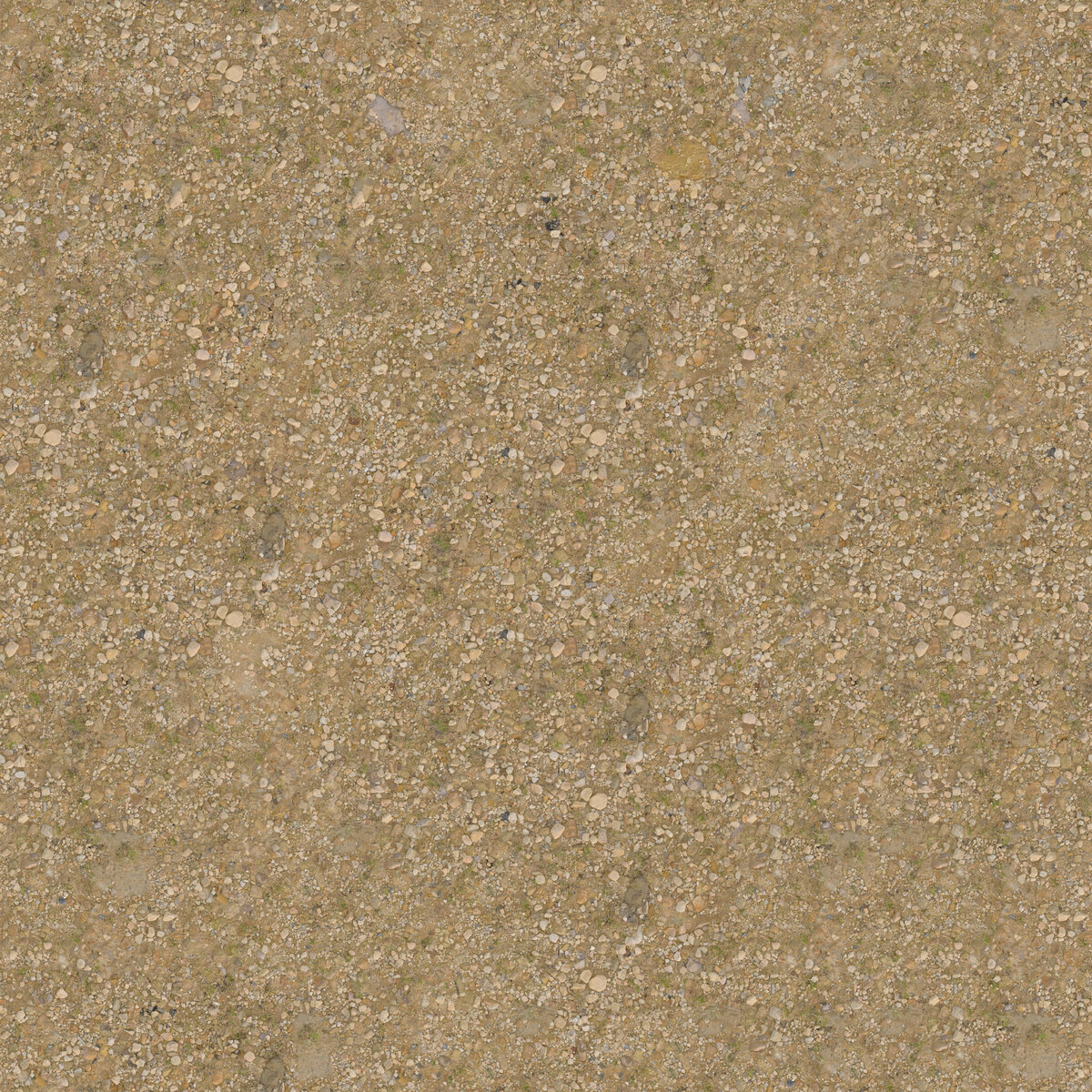 Ground 062 L Texture