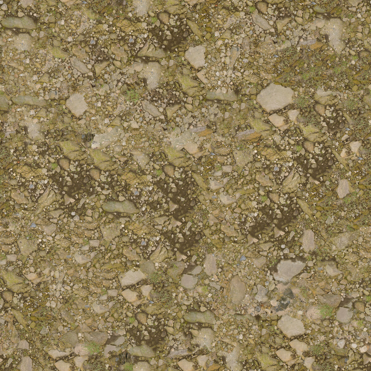 Ground 063 Texture