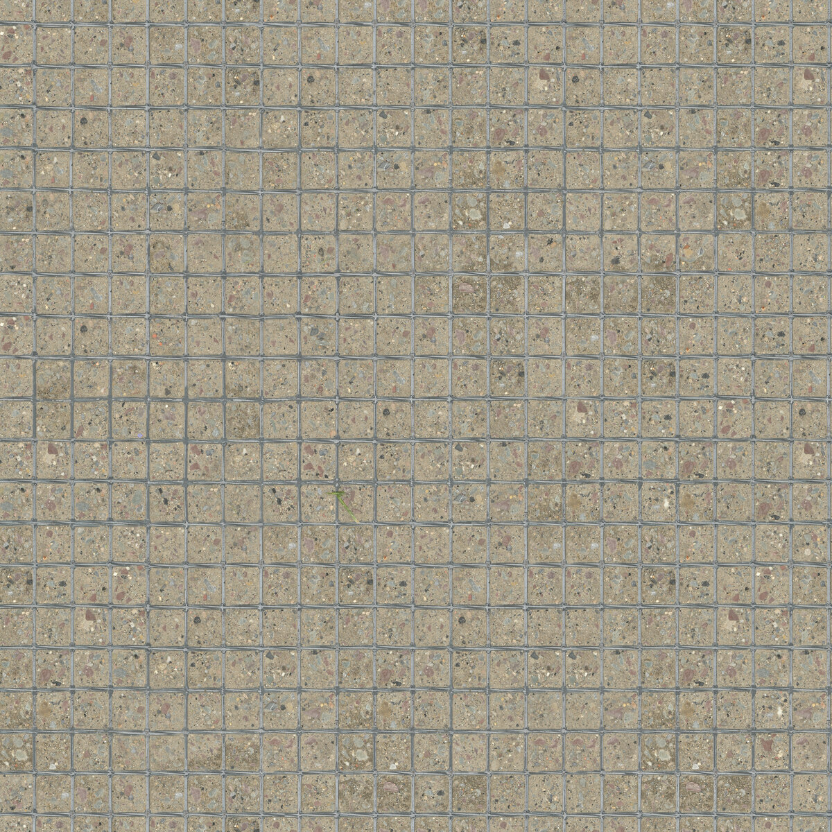 Ground 065 Texture