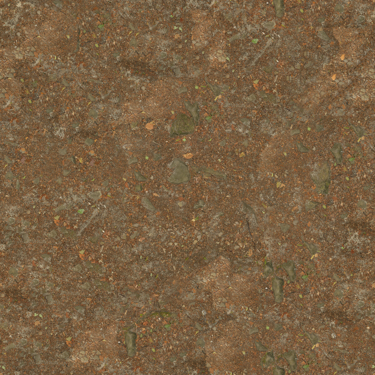 Ground 067 Texture