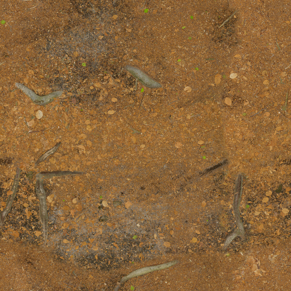 Ground 070 Texture