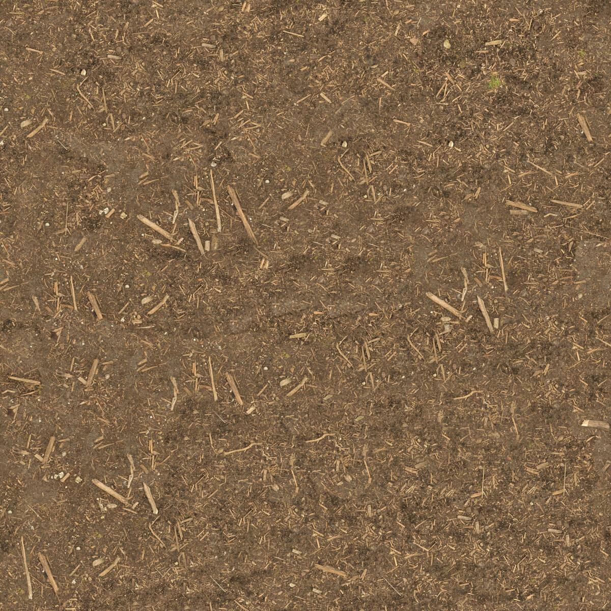 Ground 071 Texture