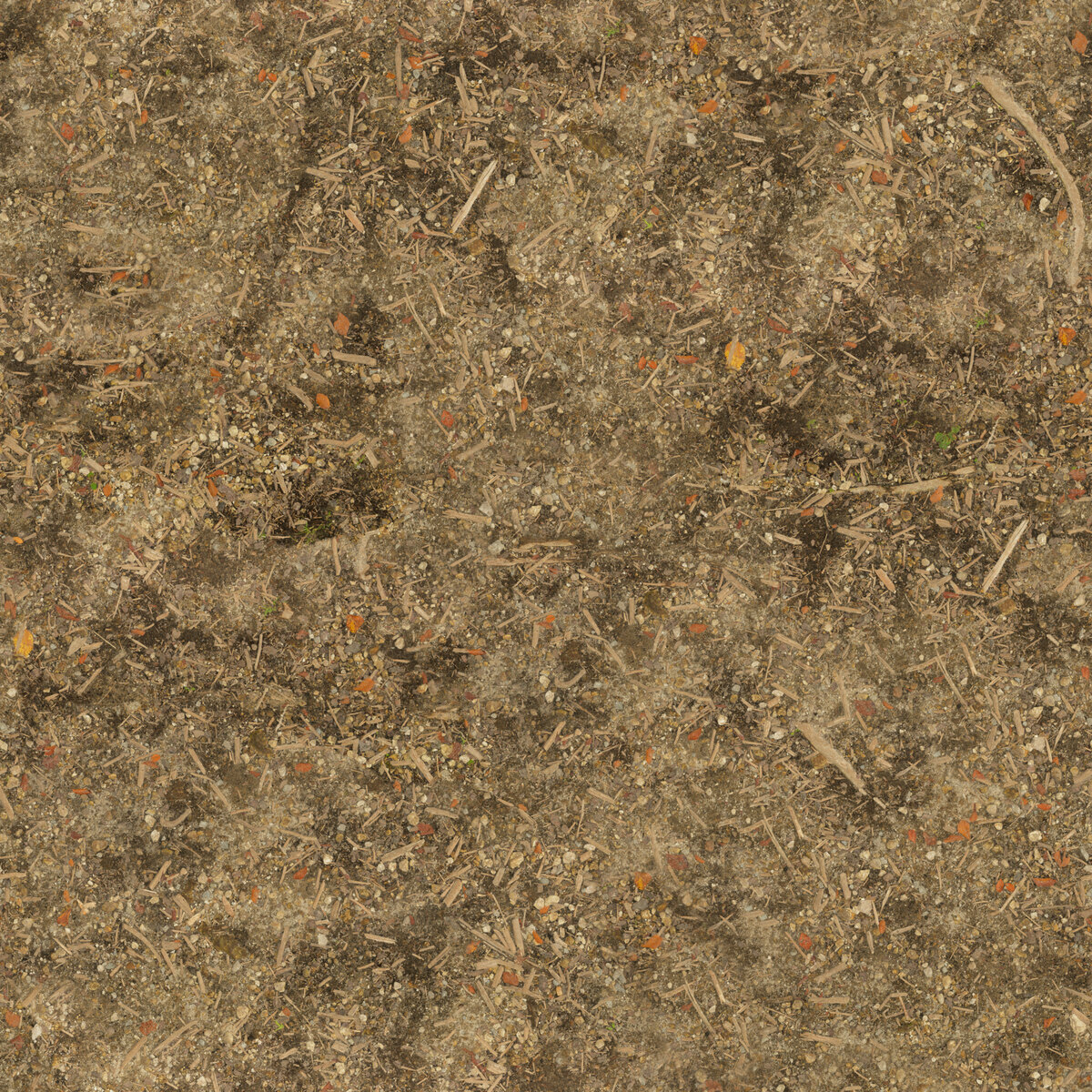 Ground 073 Texture