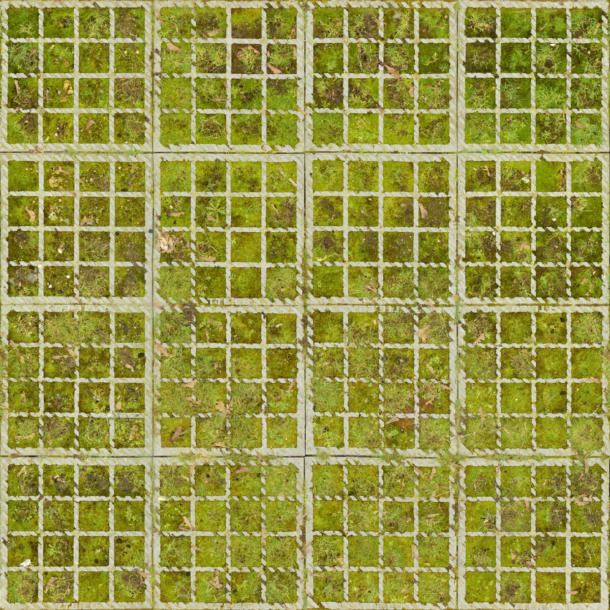 Ground 075 Texture